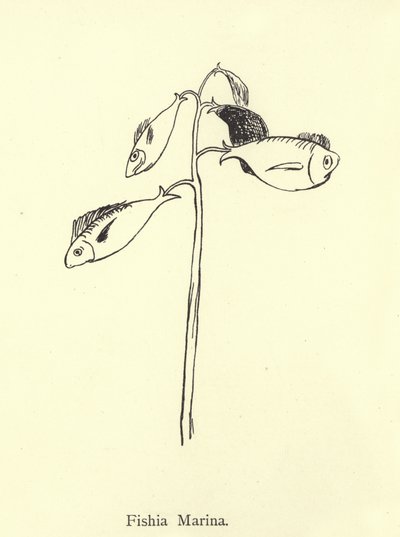 Fishia Marina by Edward Lear